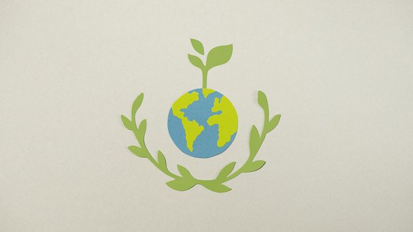 Conseils écolo pour un habitat durable et tendance