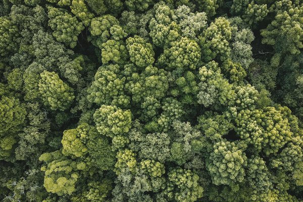 Découvrez le charme authentique du camping le Roc