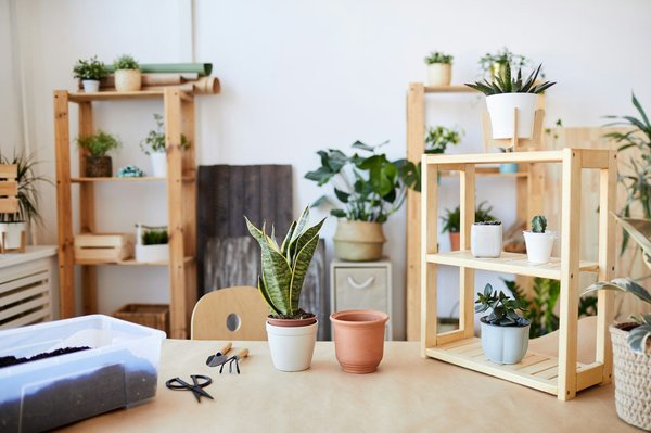 Tout savoir sur l'achat-revente : astuces et domaines rentables